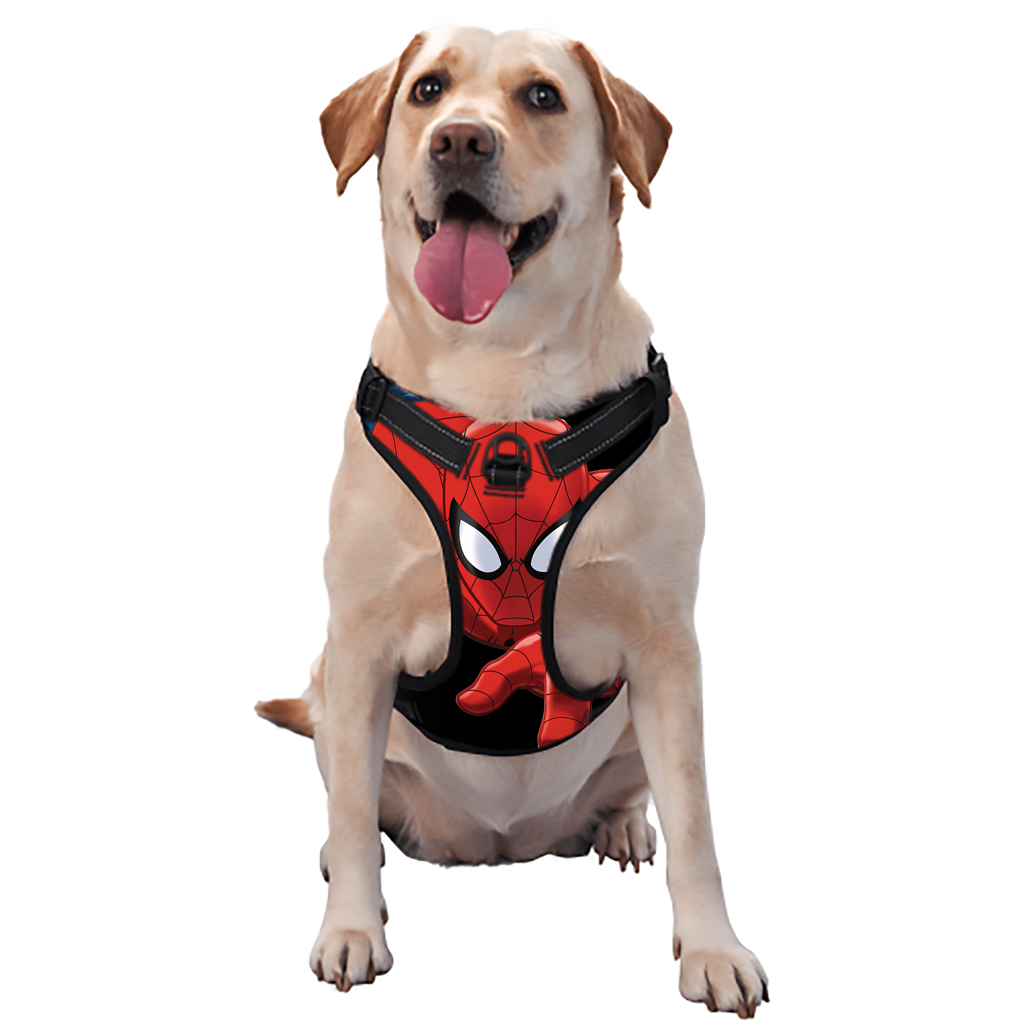 （画像用） Spider Man スパイダーマン ペット用ハーネス